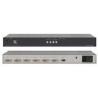 Kramer Switch from 2 or more digital DVI input to 1 (mirrored on some models) outputs.