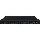 Blustream AMF42AU 4×2 Advanced Multi Format Presentation/Matrix Switcher connectivity (terminals) product image