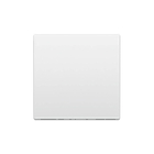 Extron Blank Plate Full-size Flex55 Module Full Size Blank Plate in White
