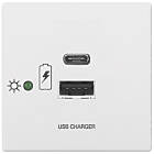 Extron Flex55 USB 411 PowerPlate Flex55 USB-C and USB-A Power module finished in white (USB-C Max 100W; USB-A Max 10W)