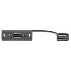 Extron One DisplayPort Female to One DisplayPort Female Pigtail MAAP Single Space One DisplayPort Female to One DisplayPort Female on 10