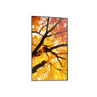 Sharp MultiSync M432 43 inch Large Format Display product image