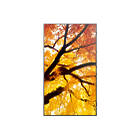 Sharp MultiSync M502 50 inch Large Format Display Front View product image