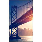 Sharp MultiSync ME982 98 inch Large Format Display product image