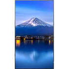 Sharp MultiSync P656 65 inch Large Format Display Front View product image