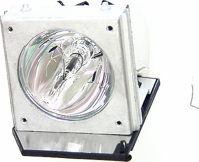 Acer EC.J0601.001 Replacement Lamp