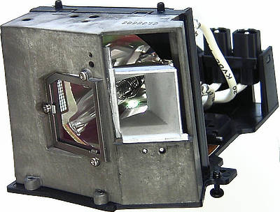 Acer EC.J0901.001 Replacement Lamp