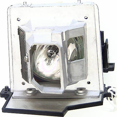 Acer EC.J2101.001 Replacement Lamp