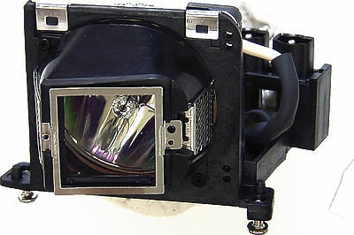 Acer EC.J2302.001 Replacement Lamp