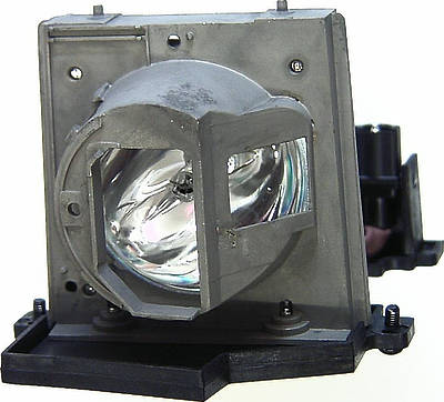 Acer EC.J3901.001 Replacement Lamp