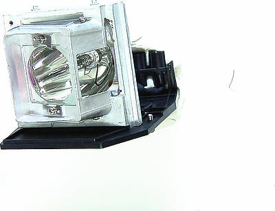 Acer EC.J6400.001 Replacement Lamp
