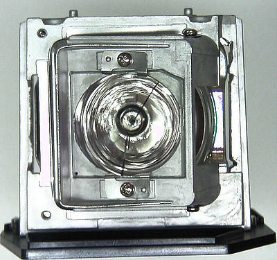 Acer EC.J6400.002 Replacement Lamp
