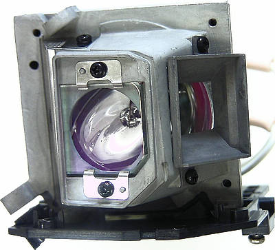 Acer EC.J6900.001 Replacement Lamp