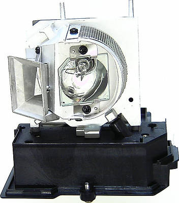 Acer EC.J8700.001 Replacement Lamp
