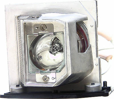 Acer EC.K0700.001 Replacement Lamp