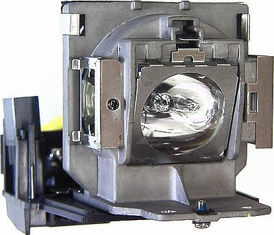 BenQ 5J.06W01.001 Replacement Lamp